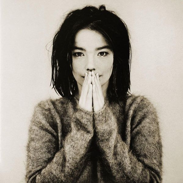 Album artwork of 'Debut' by Björk