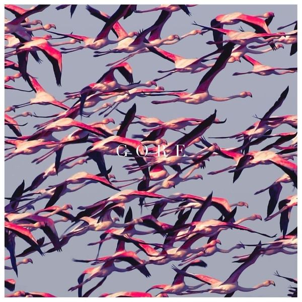 Album artwork of 'Gore' by Deftones