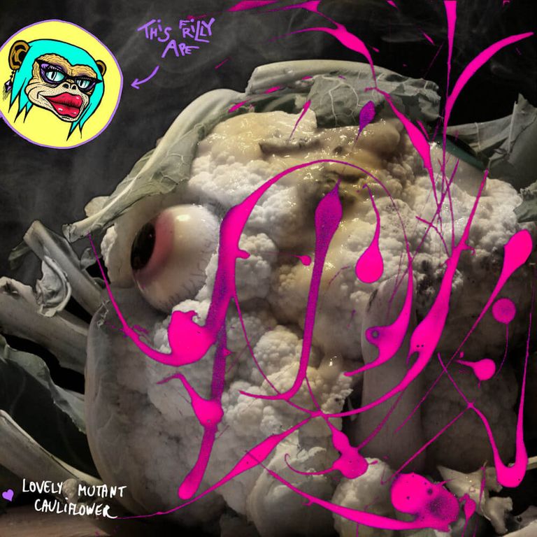 Album artwork of 'Lovely mutant couliflower' by This frilly ape