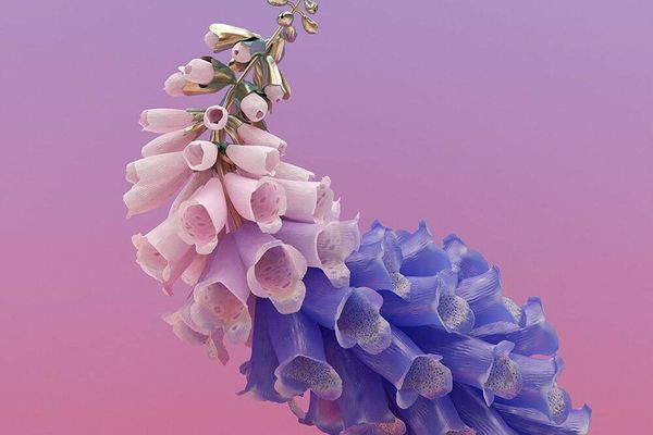 Album artwork of 'Skin' by Flume