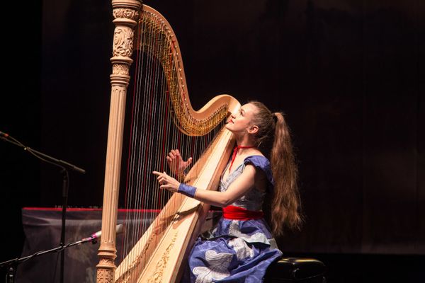 Joanna Newsom playing the harp