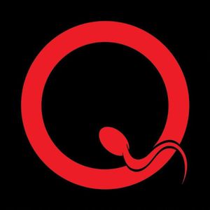 Queens of the Stone age logo