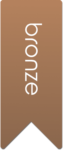 bronze award